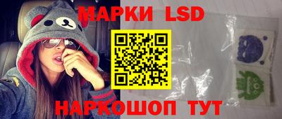 гидра Будённовск