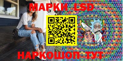 гидра Будённовск