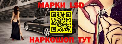 гидра Будённовск
