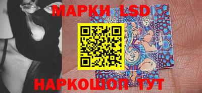 гидра Будённовск