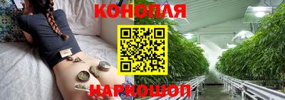 гидра Будённовск