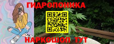 гидра Будённовск