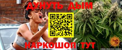 гидра Будённовск