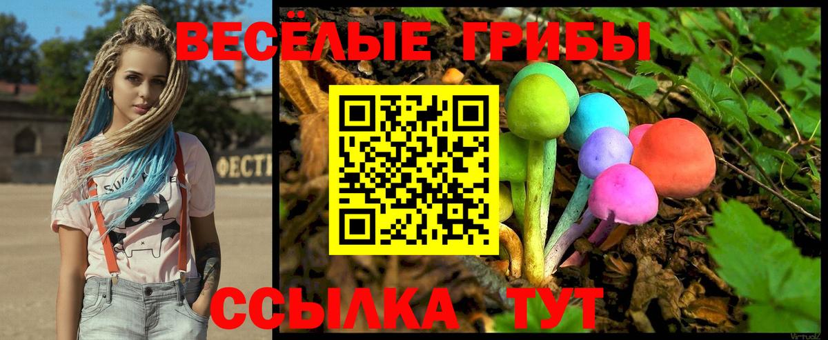 Сибай  Галлюциногенные грибы GOLDEN TEACHER  Вход с VPN  Псилоцибиновые грибы мицелий 